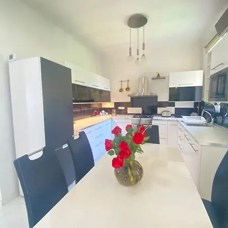 Penthouse In The Castle 아파트 부다페스트